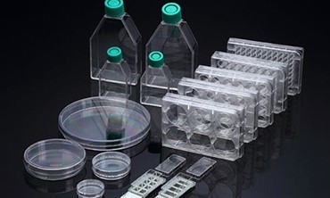 注塑模具時出現(xiàn)問題應該從這里排查? 注塑模具時出現(xiàn)問題應該從這里排查?